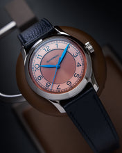 Load image into Gallery viewer, DM02 SALMON