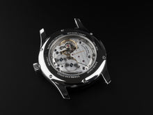 Load image into Gallery viewer, DM02 WHITE / SILVER